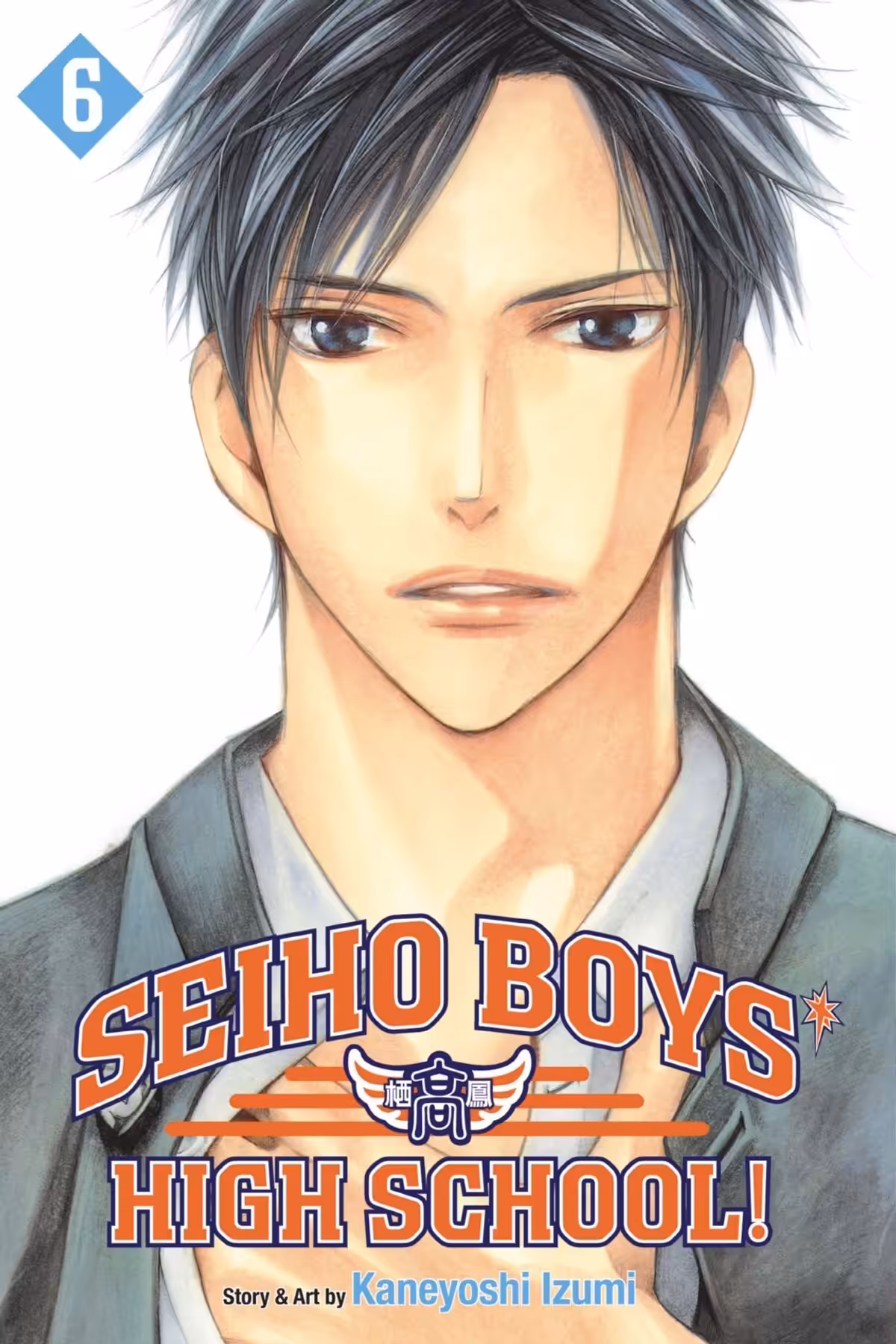 Seiho Boys’ High School!, Vol. 6
