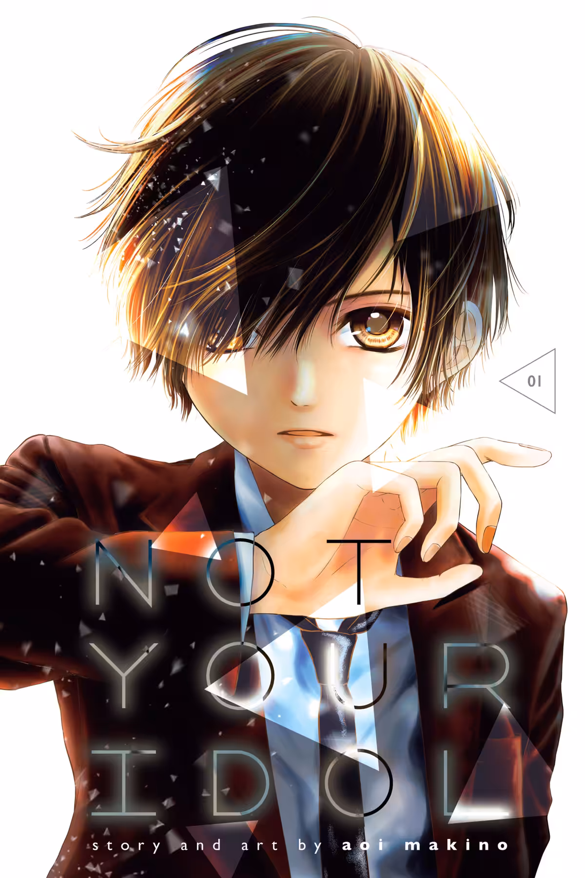 Not Your Idol, Vol. 1