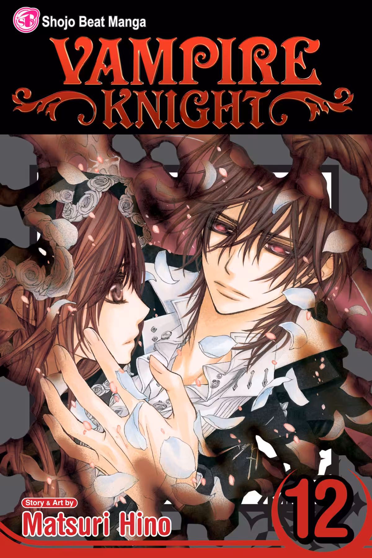 Vampire Knight, Vol. 12