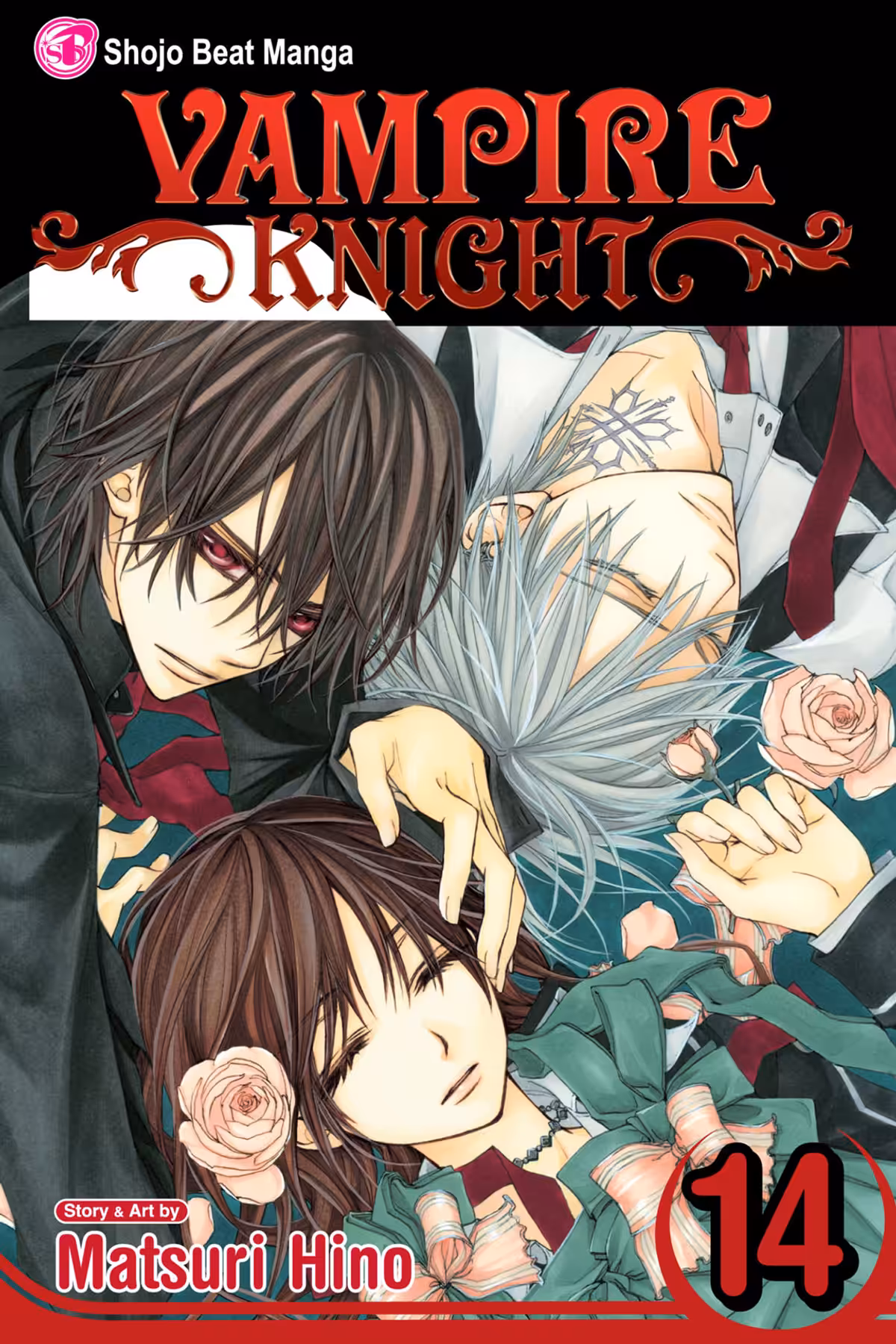 Vampire Knight, Vol. 14