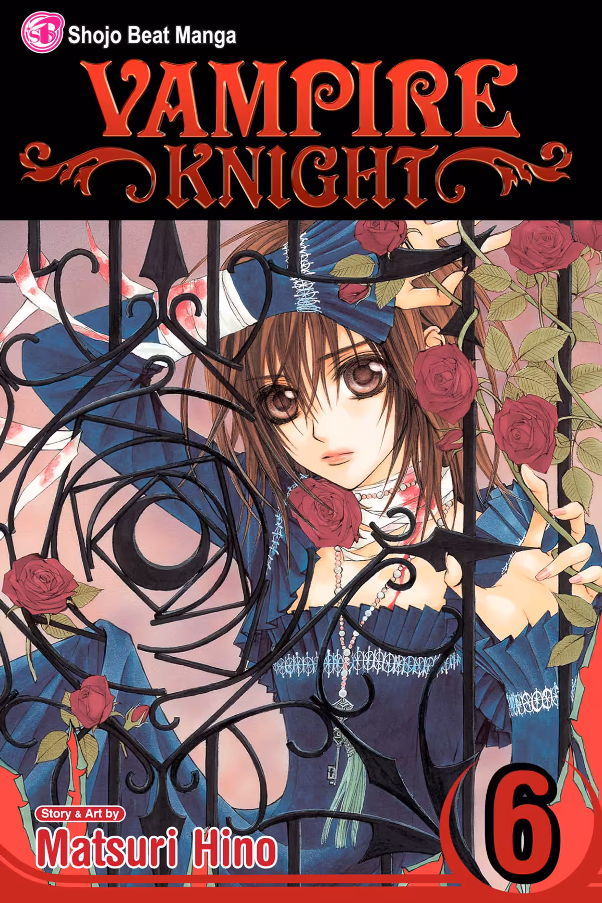 Vampire Knight, Vol. 6