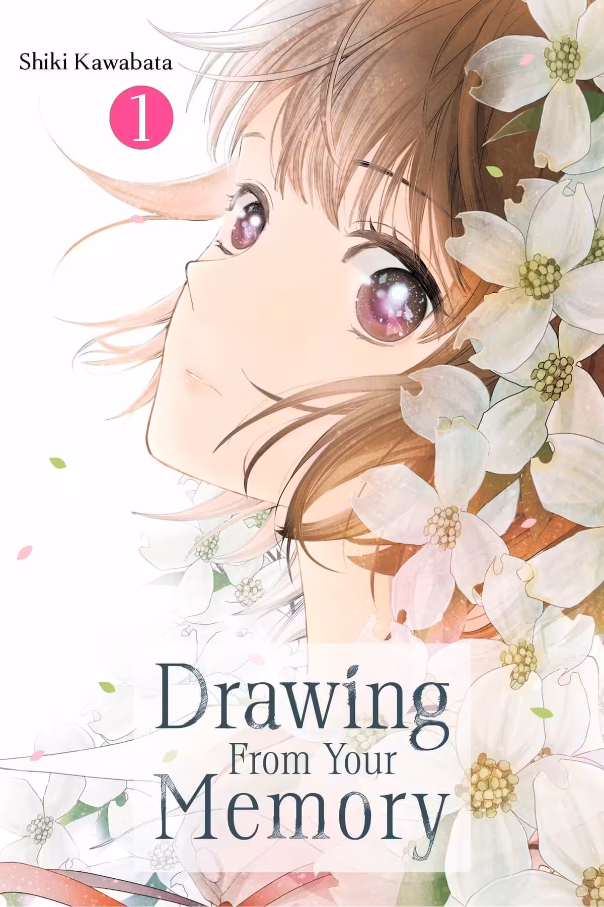 Drawing From Your Memory, Vol. 1