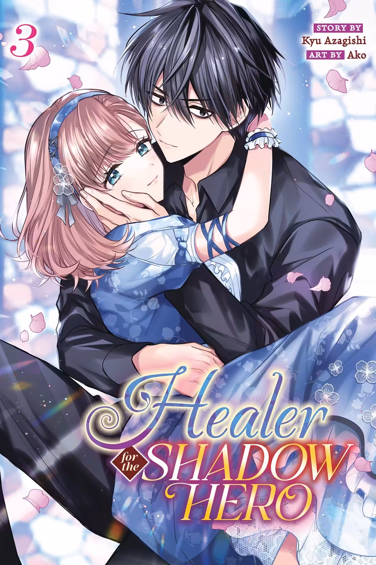 Healer for the Shadow Hero, Vol. 3 (manga)