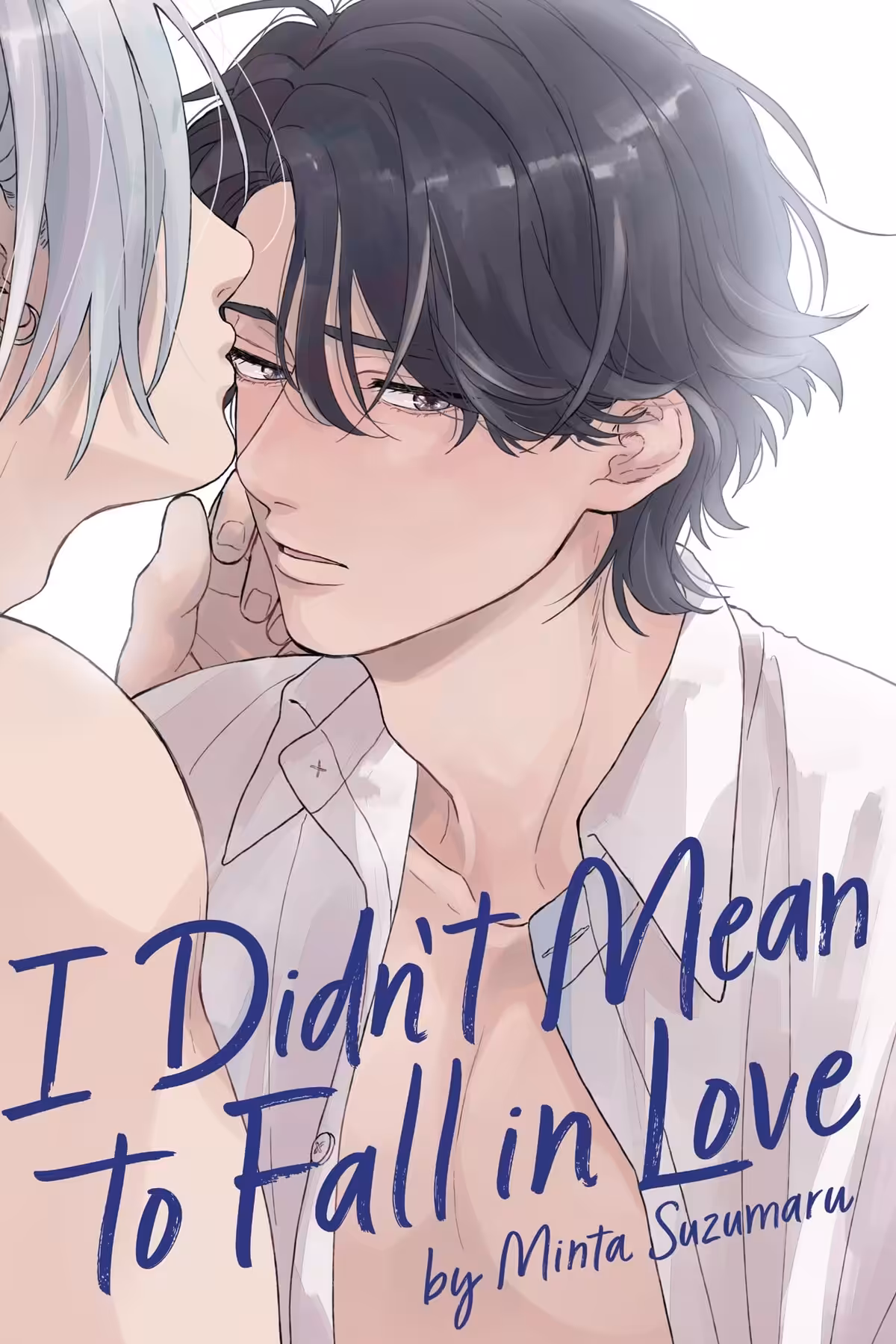 I Didn’t Mean to Fall in Love