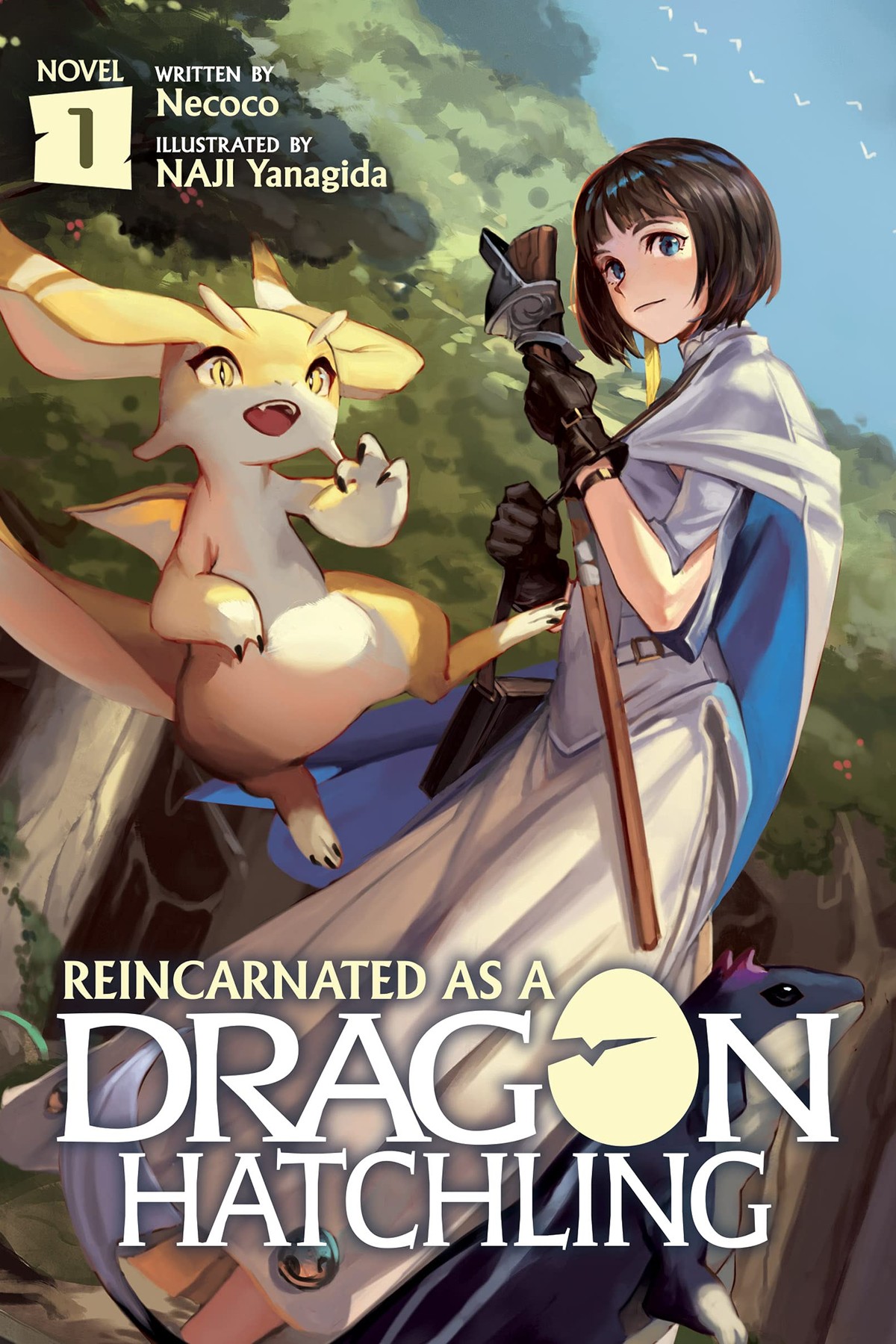 Reincarnated as a Dragon Hatchling, Vol. 1 (light novel)